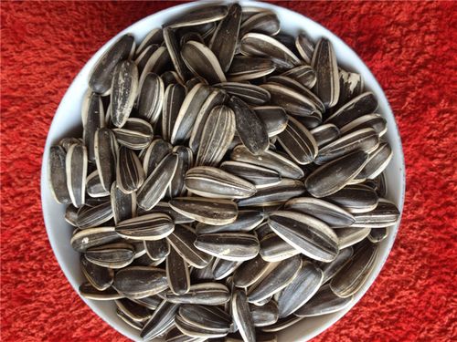 散装生瓜子批发 厂家直销休闲食品 零食炒货 散货生的葵花籽